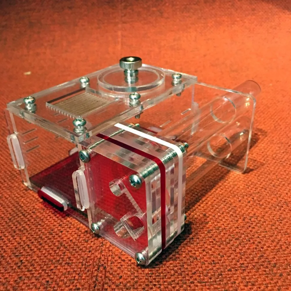 2tubes-ant-nest (4)