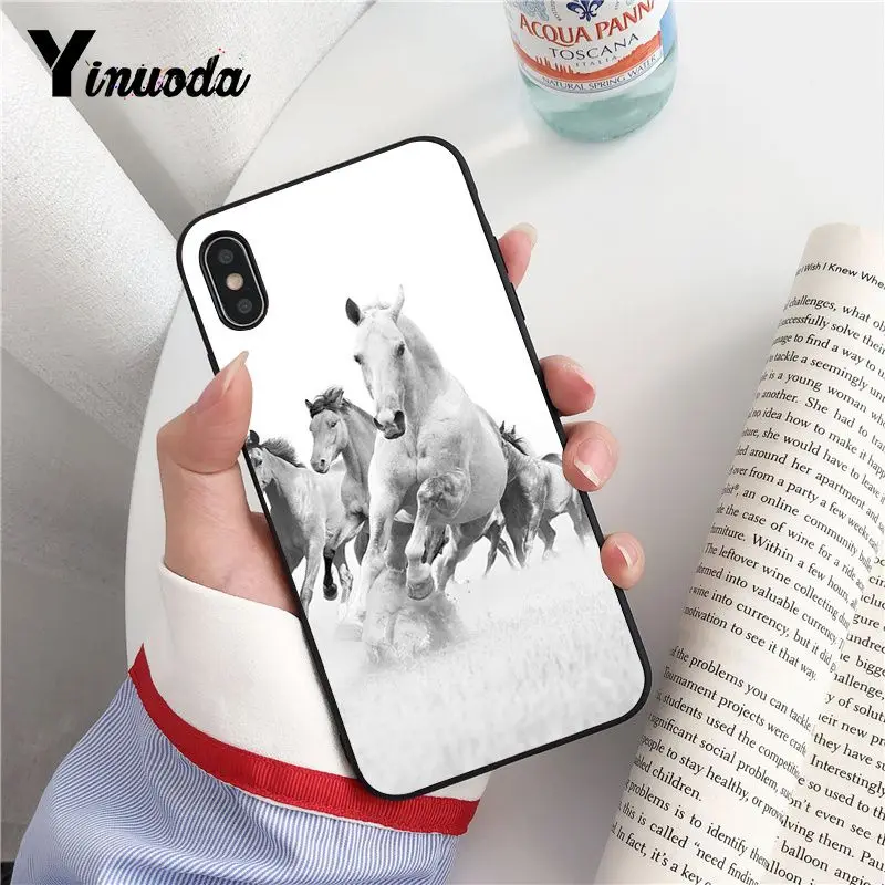 Animal Horse