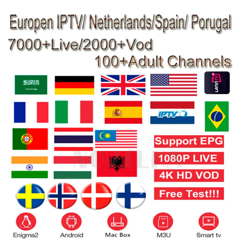 

Italia Netherland Arabic Europe USA Canadian African French Latino IPTV Subscription 7000 Channels Stream Live Android m3u