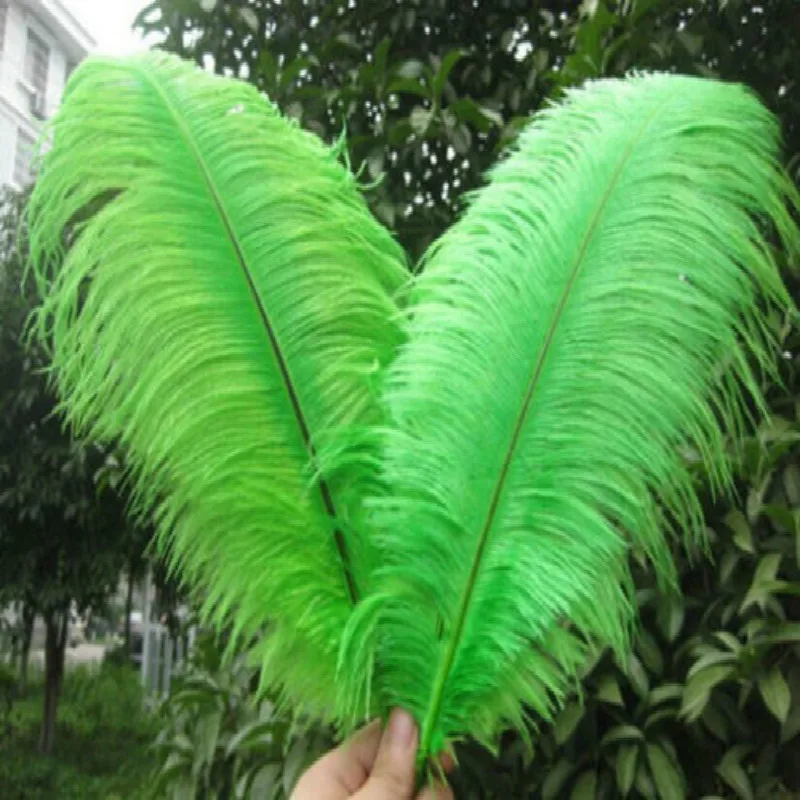 

HOT! 50pcs/lot 50-55cm/20-22"green ostrich feather plume wedding decoration black feather ostrich plumage Free shipping