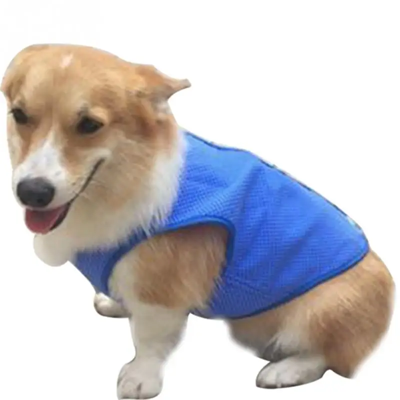Pet Summer Dog blue Jacket Coat comfortable For Dogs Pet Shirt Cooler