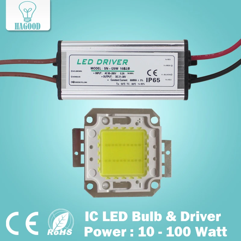 

Real Full Watt 10W 20W 30W 50W 100w High Power COB LED lamp Chips Bulb with LED Driver For DIY Floodlight Spot light Lawn