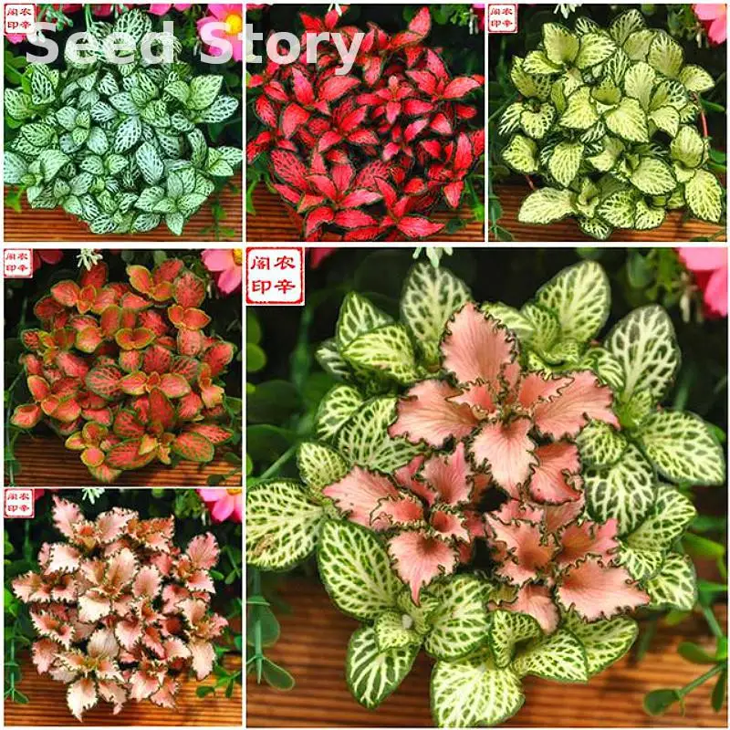 popular large garden decorbuy cheap large garden decor lots from popular large garden decorbuy cheap large garden decor lots from, Garden idea