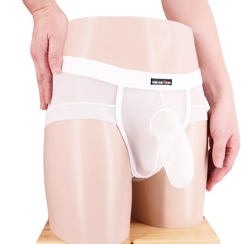 Manview Men Sexy Briefs Male Transparent Gauze Underwear Low-waist Gay Sexy Penis Sleeve Pouch Underpant Male panties M18720