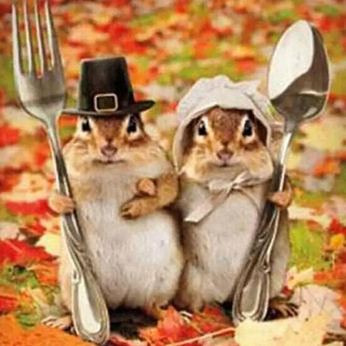 0ce3c331e7804e4dfd027420e04681946577a30b_original