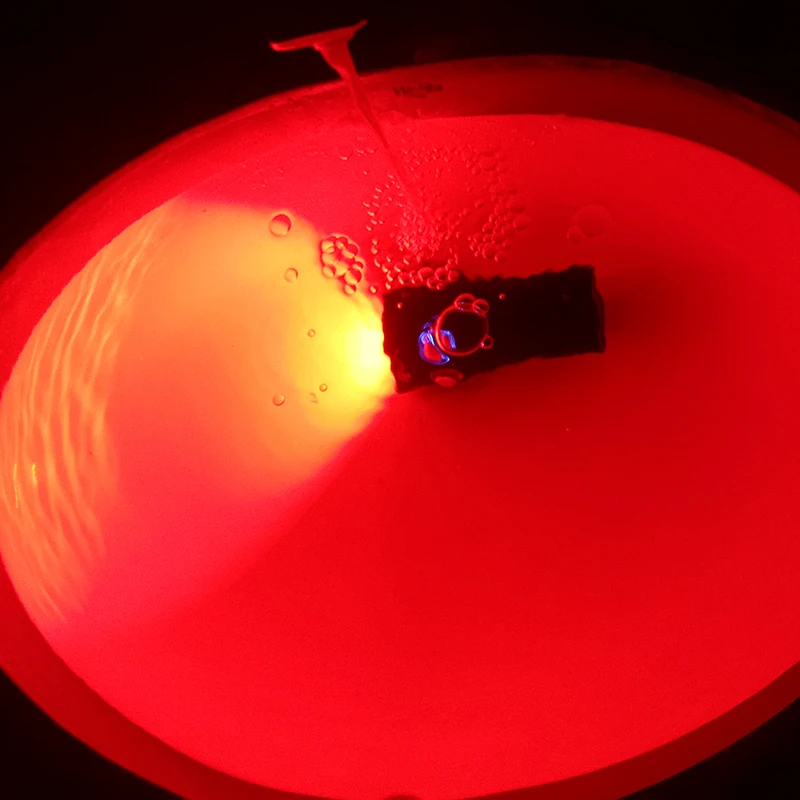 646