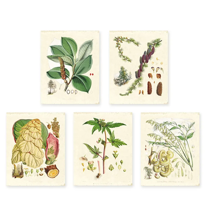 Green plants set of 5 Vintage Botanical illustrations floral art prints HD printing Flower Wall Art prints only unframed