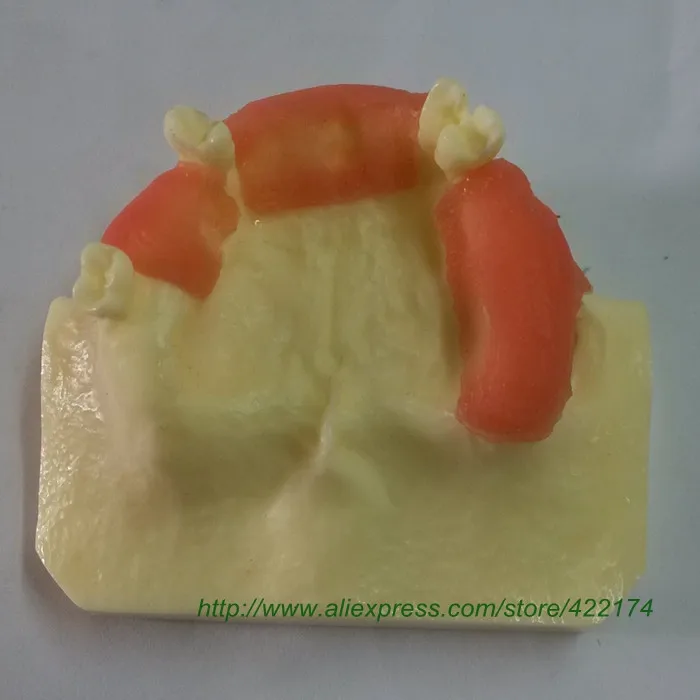 Sinus practice model 5