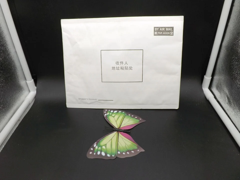 I238-Butterfly (13)
