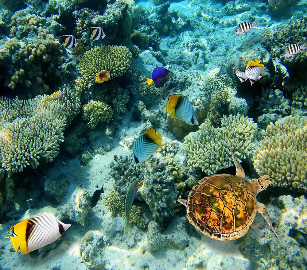 Пол обои подводный мир коралловые Черепашки пол картина
