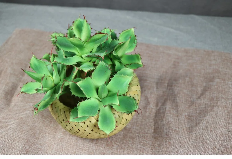 Элегантное искусственное суккулентное растение цвета индиго, кактус, алоэ, эчеверия, пластиковое цветочное украшение