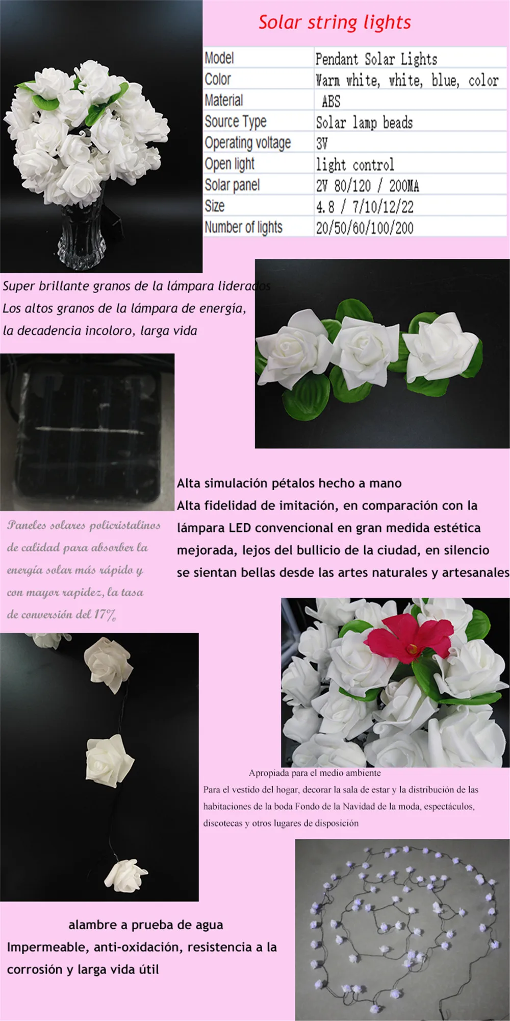 rose luces (1)