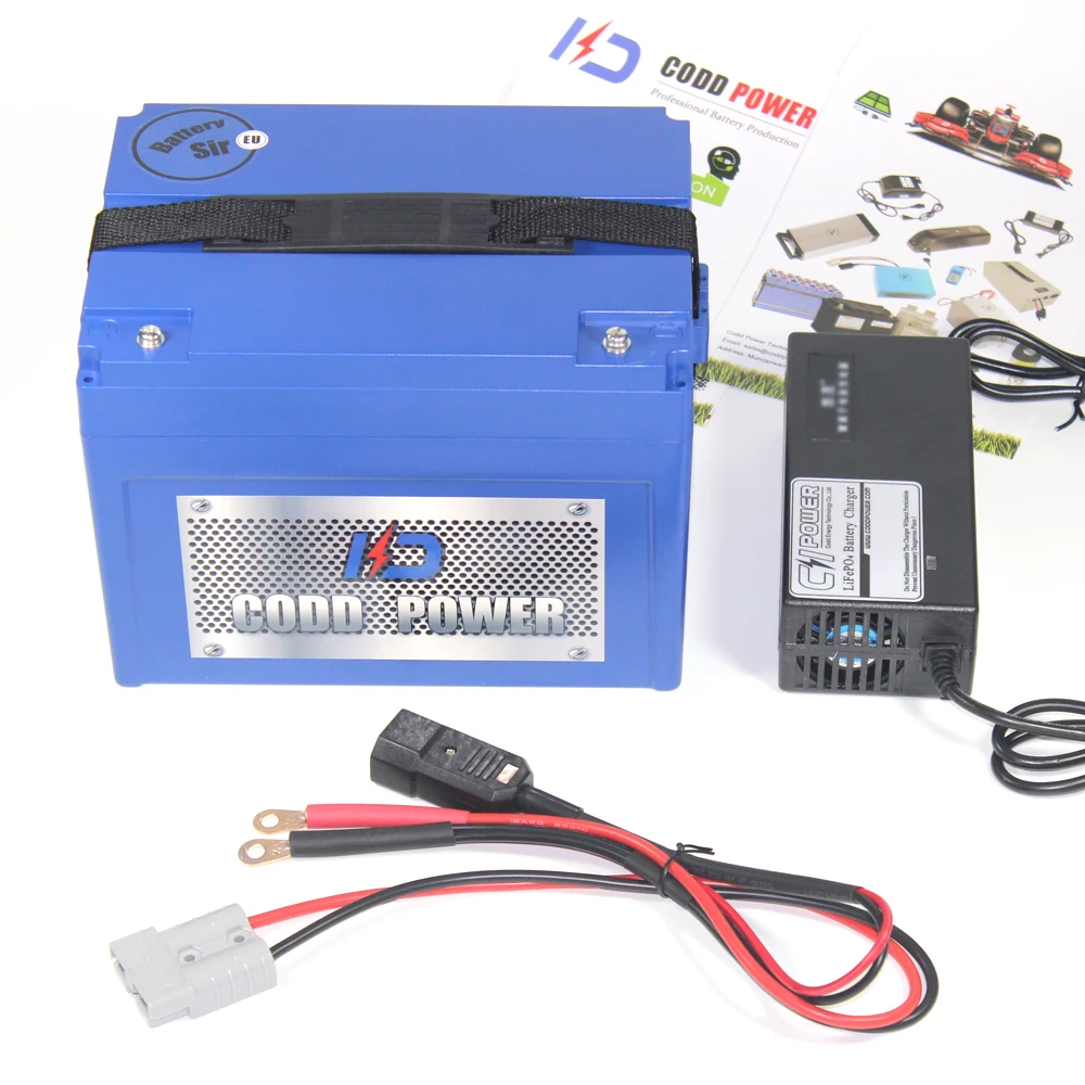 24V 60AH ebike lithium ion battery pack For electric font b bike b font 24V EV