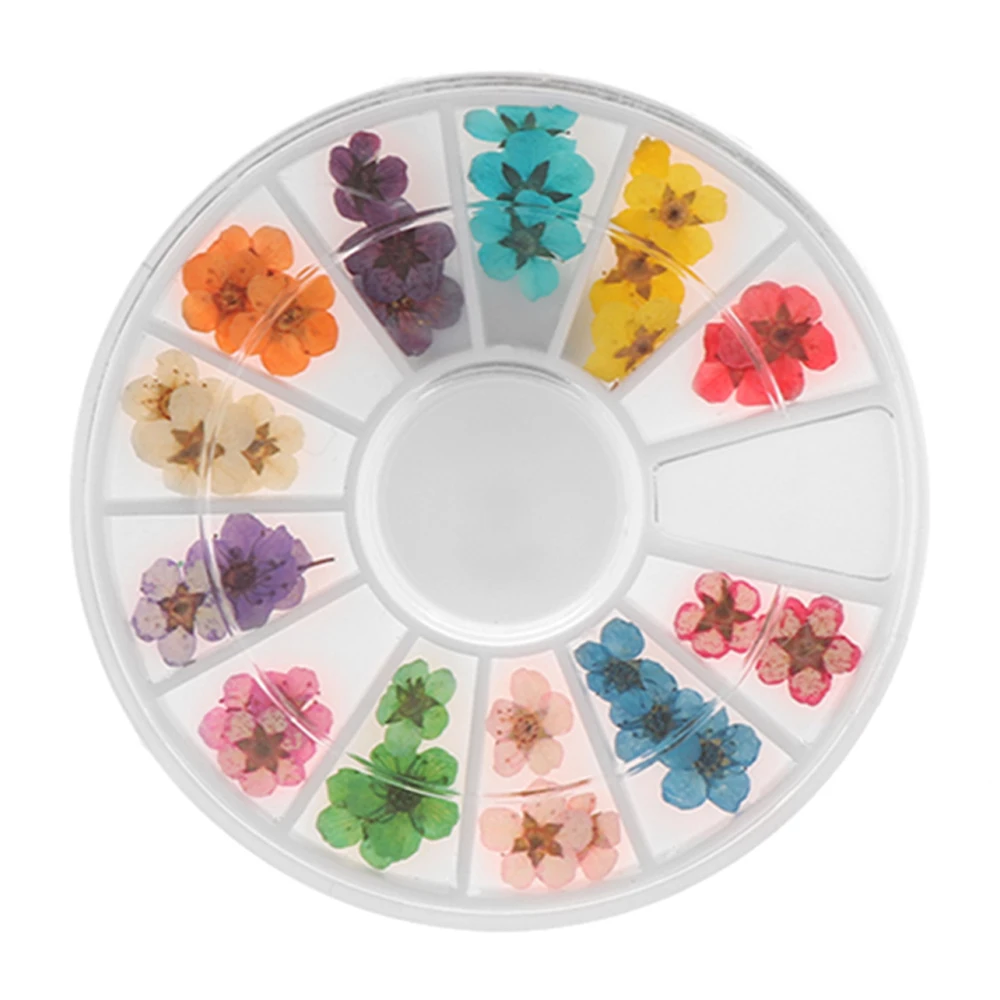 

Hot 24Pcs/Wheel 3D Flower Nail Art Sticker Dried DIY Tips Acrylic Elegant Nail Art Decoration Beauty Fashion Nail Art Decals