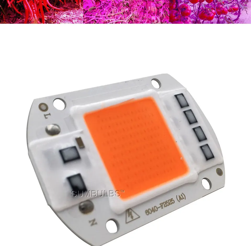110V 220V indoor plant growing Led light grow lamp bulb (6)