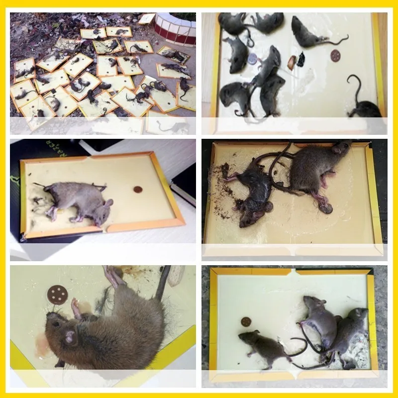 1 шт. сильная ловушка для мыши нетоксичный крысиный уничтожитель контроль за паразитами отклоняет мышь доска липкая клейкая крысоловка клеевая ловушка для мышей мышеловка