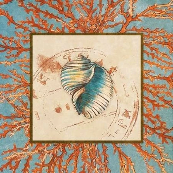 Coral Medley Shell I Poster Print by Lanie Loreth (12 x 12)