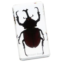 Фигурка насекомого модель игрушки творческий образец смолы образец Дети Образование пресс-папье коллекция подарок-жук носорог