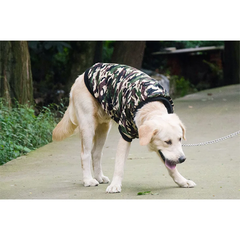 Pet двухслойная одежда для больших собак большая собака Jin Mao Satsuma крутая