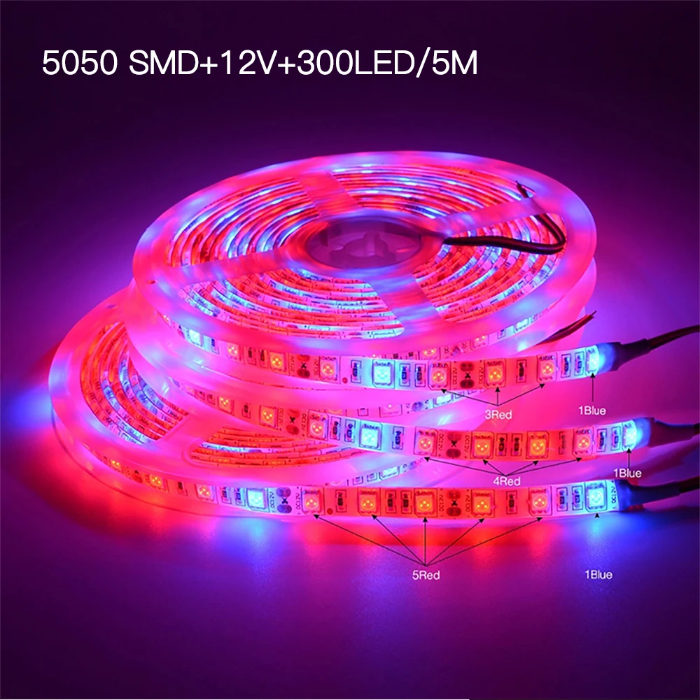 LED31_05
