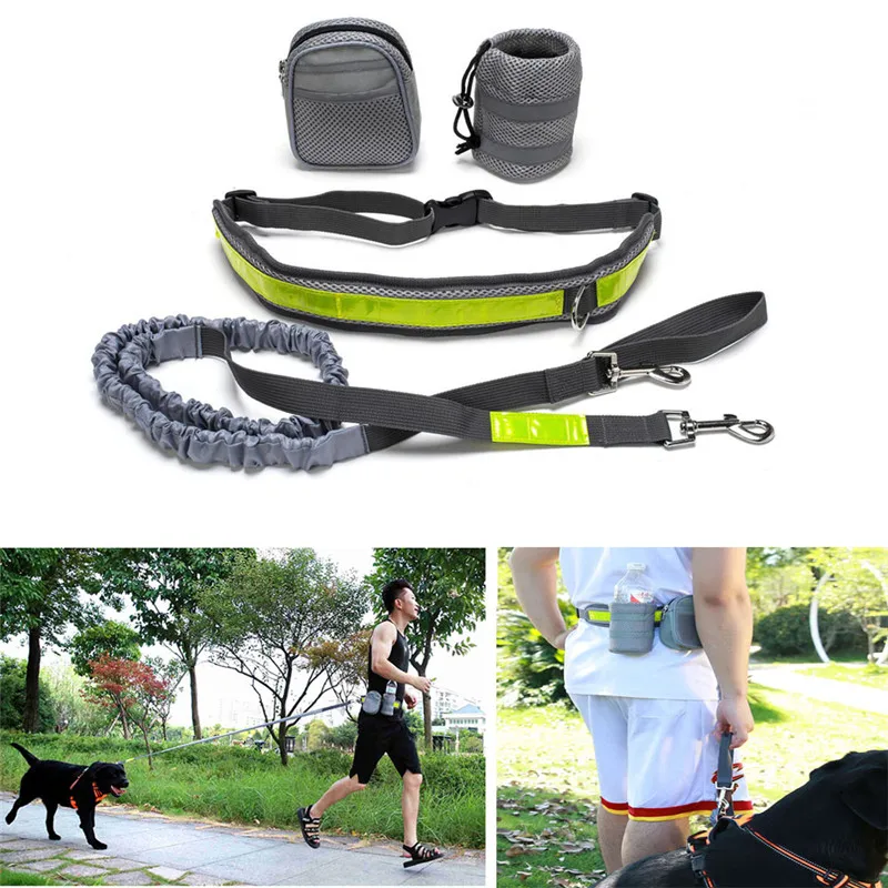Retractable Hands Free Pet Dog Collar Traction Leash Running Walking