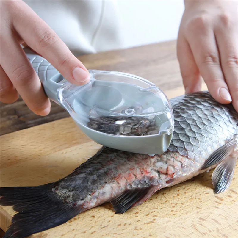 

1 PCS Lightweight Portable Fish Skin Brush Scraping Scale Brush Fast Remove Mackerel Scale Cleaning Peeler Scaler Fishing Tools