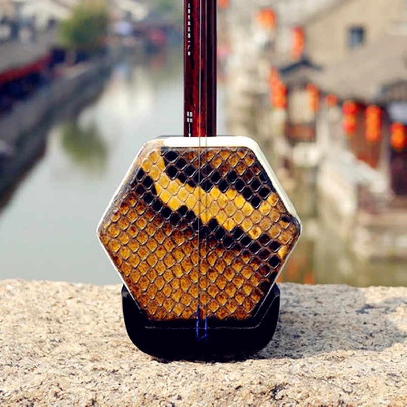 Dunhuang Erhu Chinese String Instrument, Huqin Red Sandalwood, Professional Erhu with Accessories, String Bow