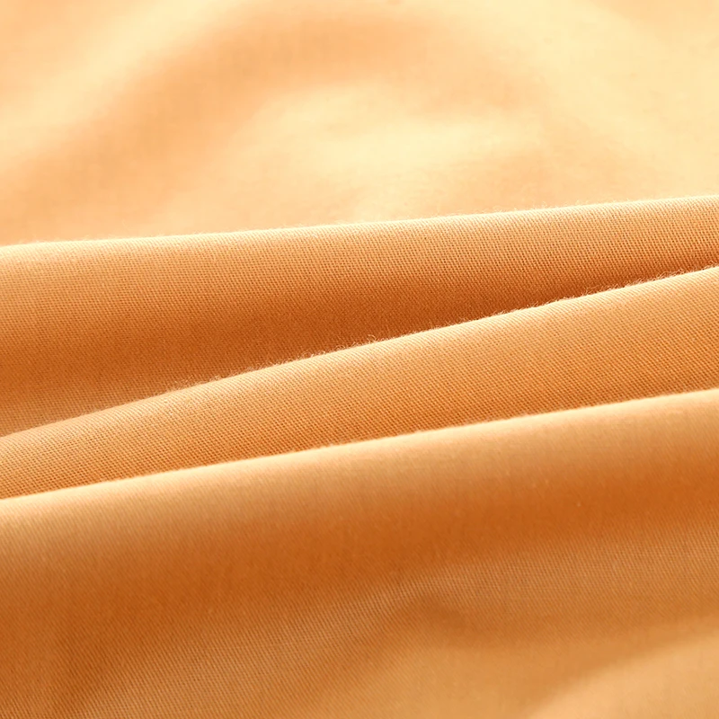 2C6A4206