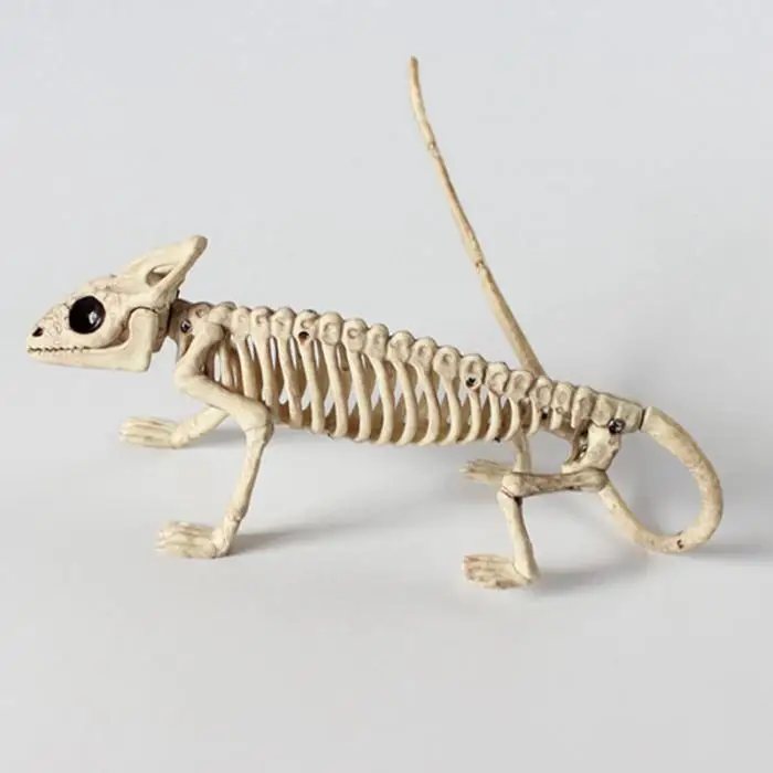 Интересные Горячие модель скелета животных Летучая мышь/лягушка/ящерица кости декор для Хэллоуина, вечеринки качество дропшиппинг LC