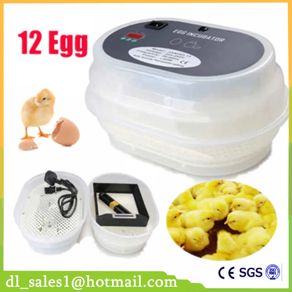 Home used display temperature automatic egg incubator for chicken quail duckincubators for