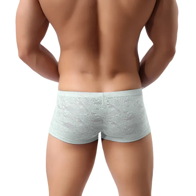 2017 New Fashion Mens Sexy Translucent Boxer Briefs Intimates Soft Lace Floral Ventilate Exotic Boxer Sexy Shorts Underpants -