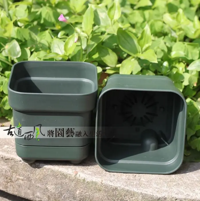 5 piece Gardening Mini Plastic Flower Pots meaty impoundment small