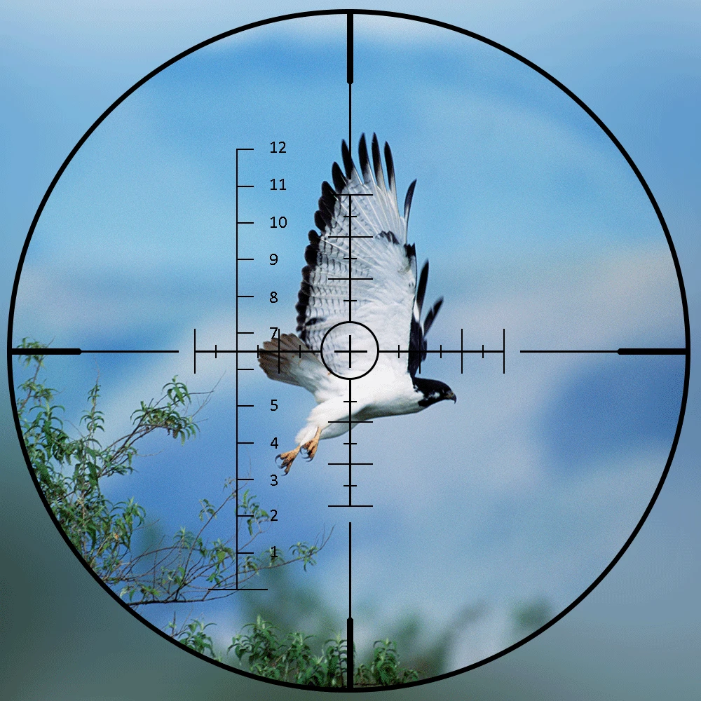 10-40x50 E طويلة المدى بندقية Riflescope الجانب عجلة المنظر البصرية البصر بندقية نطاق الصيد نطاقات قناص Luneta الفقرة بندقية 10-40x50 E طويلة المدى بندقية Riflescope الجانب عجلة المنظر البصرية البصر بندقية نطاق الصيد نطاقات قناص Luneta الفقرة بندقية