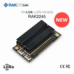 -RAK2245