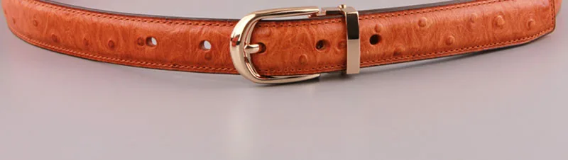 FCO038 (36)