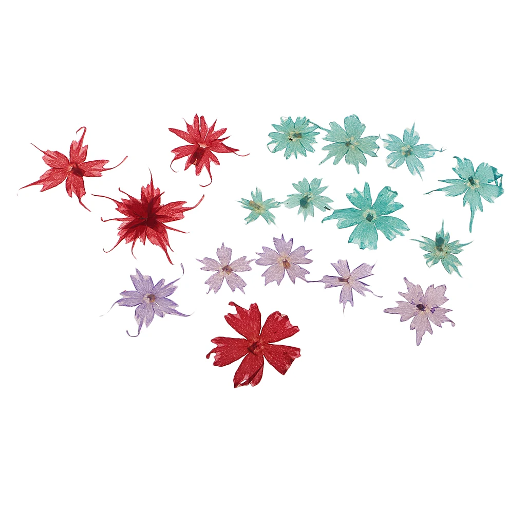 Pack Of Natural Dried Flower Real Flower Mixed For DIY Resin Ornament Craft Card Making Scrapbooking Embellishment Floral Design