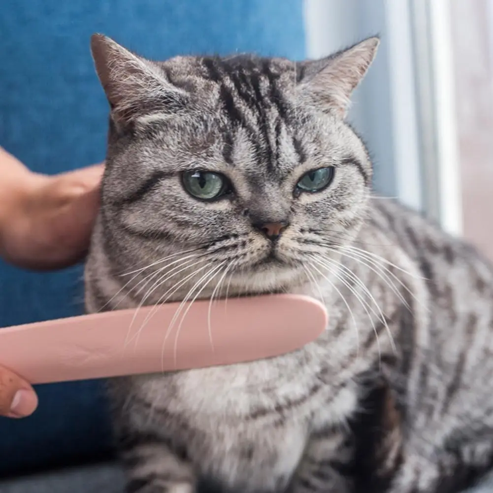 TPFOCUS Cat Tongue Shape Massage Comb for Pet Kitten Beauty Cleaning Supplies