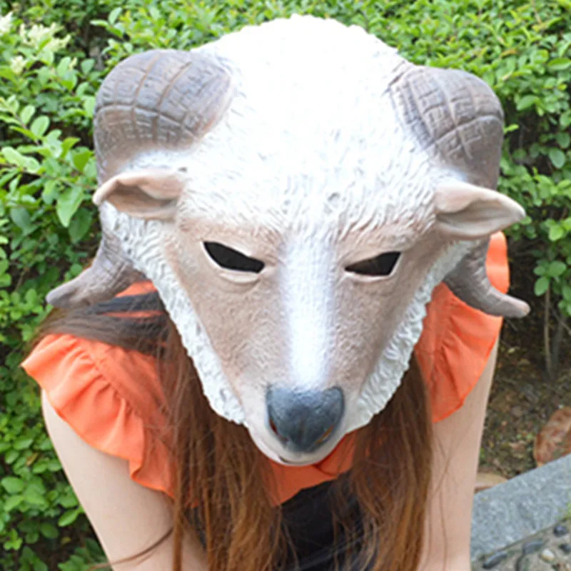 84 Gambar Binatang Kepala Kambing HD