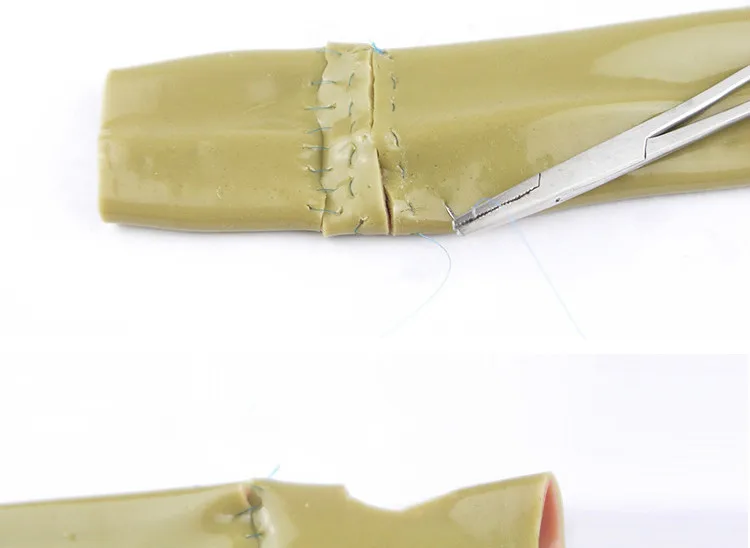 Modelo de Modelo de Sutura Intestinal Laparoscópica Suporte Clipsurgery Formação Prática Aids Modelo 5 Modelo de Ensino Dental