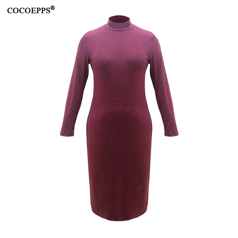 COCOEPPS13