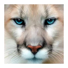 На заказ Алмазная картина льва животное вышивка крестиком Рождество Санта Клаус Снеговик hibah домашний декор diy pintura Алмазная мозаика Круз