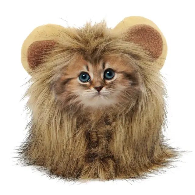 cute cat hat lion