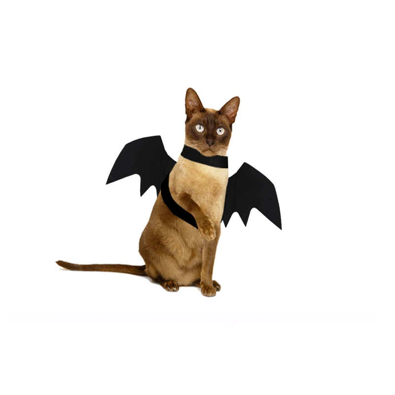 Хэллоуин для домашней собаки костюмы крылья летучей мыши, вампира черного цвета, изящные модные Наряжаться собака Кот дополнения к костюму на вечеринку - Цвет: Черный