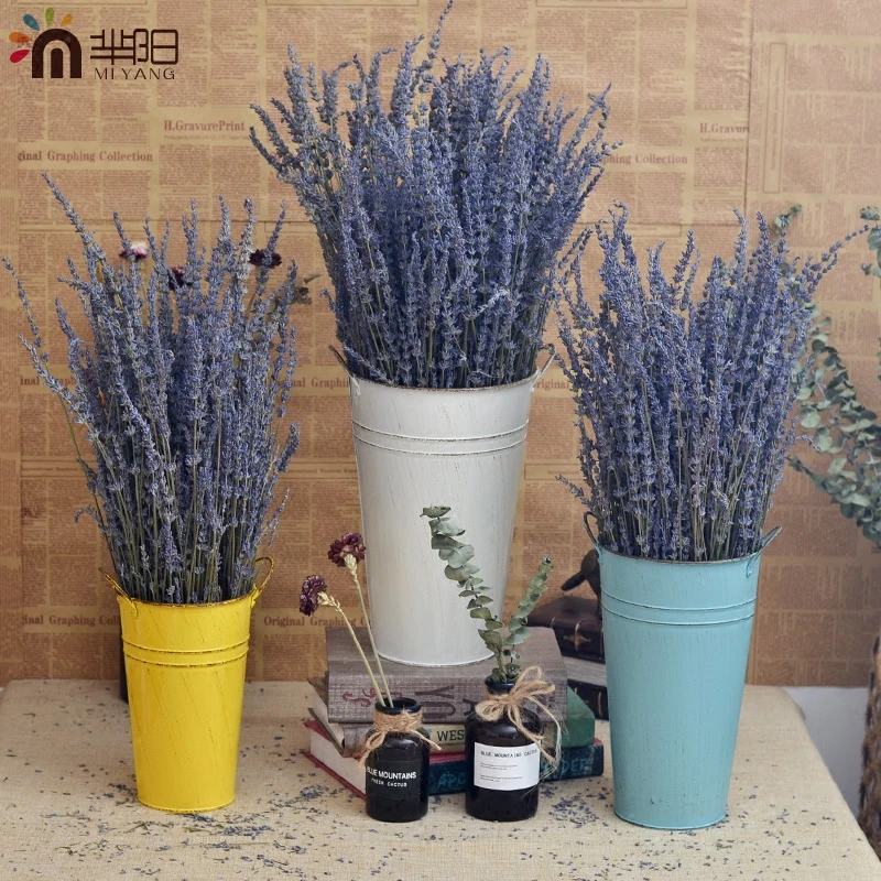 TB1P6Gkb.EIL1JjSZFFYXI5kVXa_M2