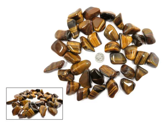 Tiger Eye Tumbled Stone 1 Polished Natural Crystal 23mm -37mm