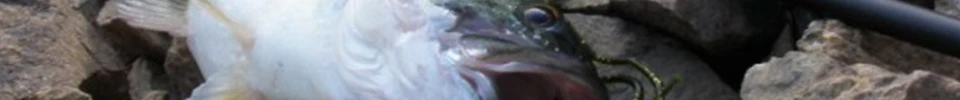 ENG_52