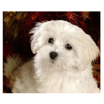 

New 5D Diy Diamond Painting Cross Stitch Kits Square Rhinestone Full Drill Crystals Diamond Embroidery Needlework Dog Animal
