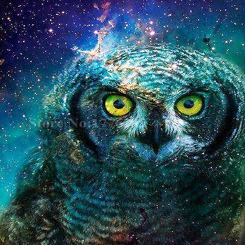 

5D Diy Full Square Round Diamond Painting Mosaic Mysterious Sky Owl Rhinestone Embroidery Cross Stitch Home Decor Ation Gift