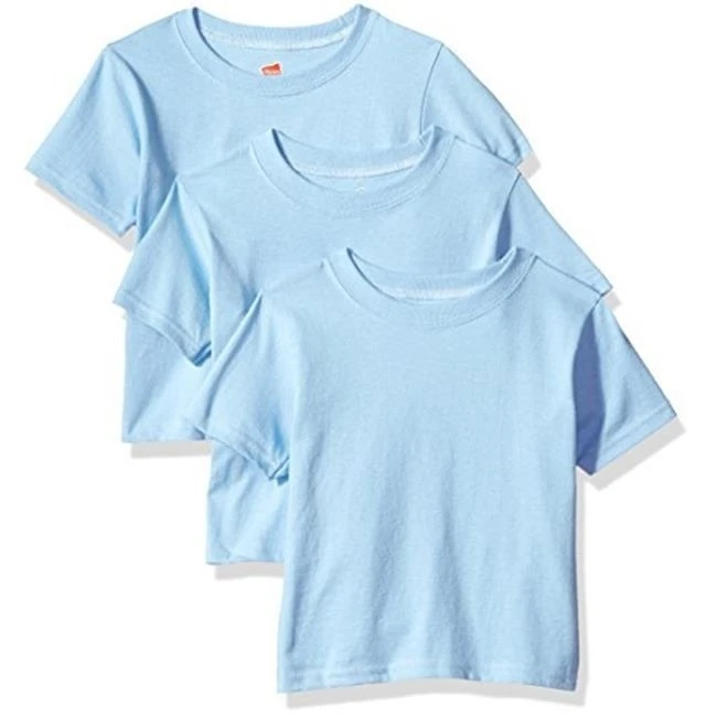 Hanes 617914473334 ComfortSoft Toddler Crewneck T-Shirt Light Blue - 2T