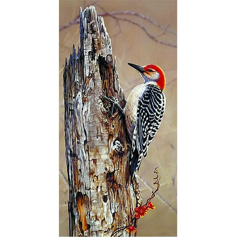 Full-Square-Round-drill-Diy-diamond-Painting-5D-diamond-embroidery-Woodpecker-Diamond-mosaic-Home-Decor-Gift.jpg_640x640